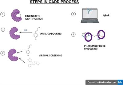 Integrative computational approaches for discovery and evaluation of lead compound for drug design
